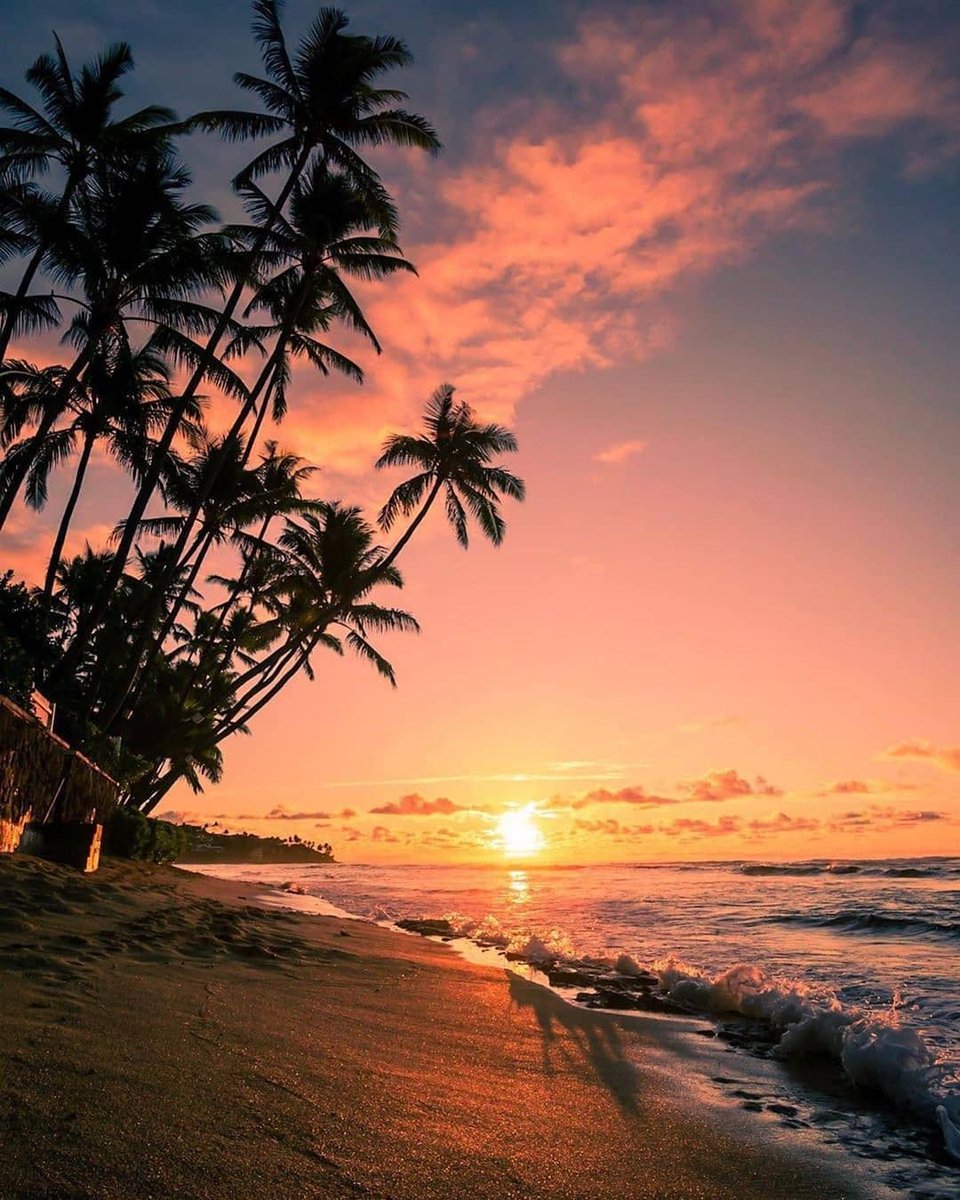 “Every little thing is gonna be alright” 🌅 #beachlifemindset #peacefulvibes
photo: @actionjockson
#honolulu #hawaii🌺