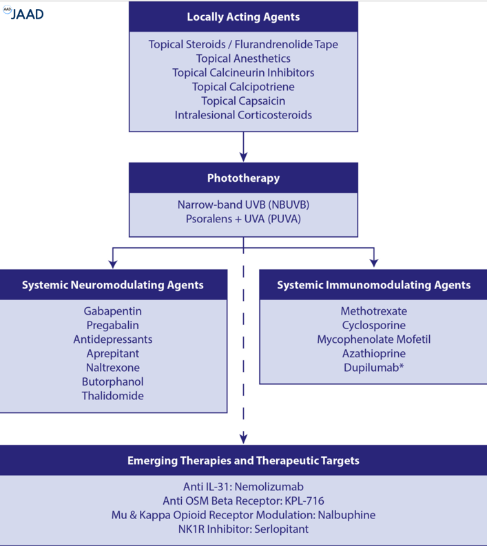 JAADjournals's tweet photo. Prurigo nodularis: Pathogenesis and management https://t.co/qxKjgxn2D0 https://t.co/zo3eEYo4u2
