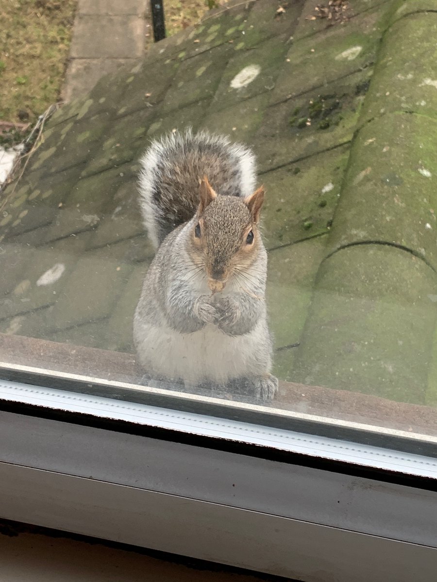 Nick Oz Oztrazine tweet media