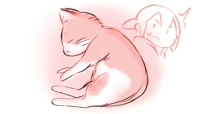 はっ!かわいっ!きもちよくすやすやしてー🐱
きょーもかわいいかわいい～はぁー🐱
まいにちいってるけどたりないくらいかわいい🐱 