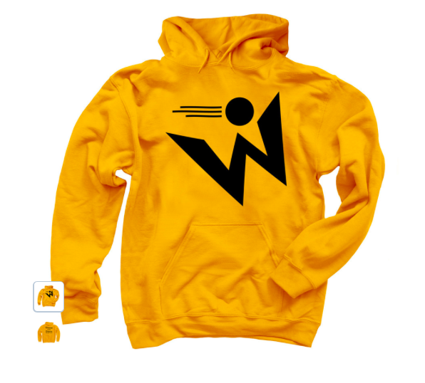 westwindsdg's tweet photo. Ordered one for each of the kids -> Throw more Discs - Pullover Hoodie on @Bonfire https://t.co/oiWkCi4pds https://t.co/iGieeSAgAB