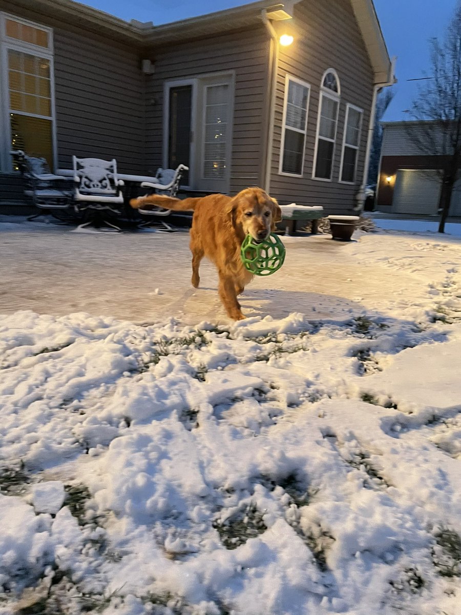 TourdeShadow's tweet image. Snow fun before the sun was up (and the school bus came)!!! I still love to play ball, make snow angels, and chase my brothers’ sleds down the hill!  #snow #Shadtastic #bestbrother