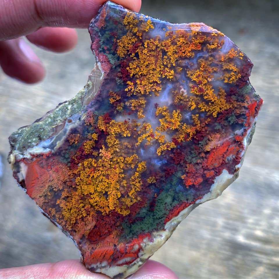 Astonishing natural Indonesian moss agate Photo: Chille Maulidhaa #minerals...