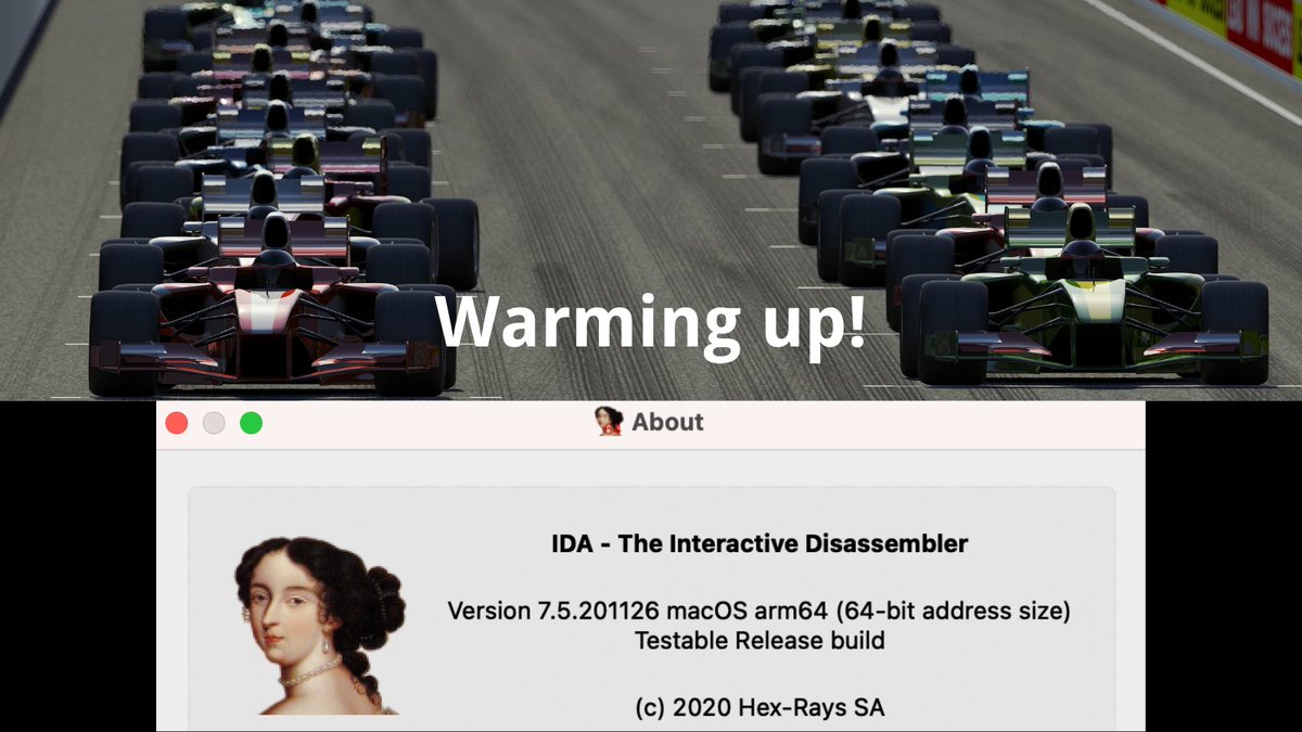 Hex-Rays SA (@hexrayssa) on Twitter photo 