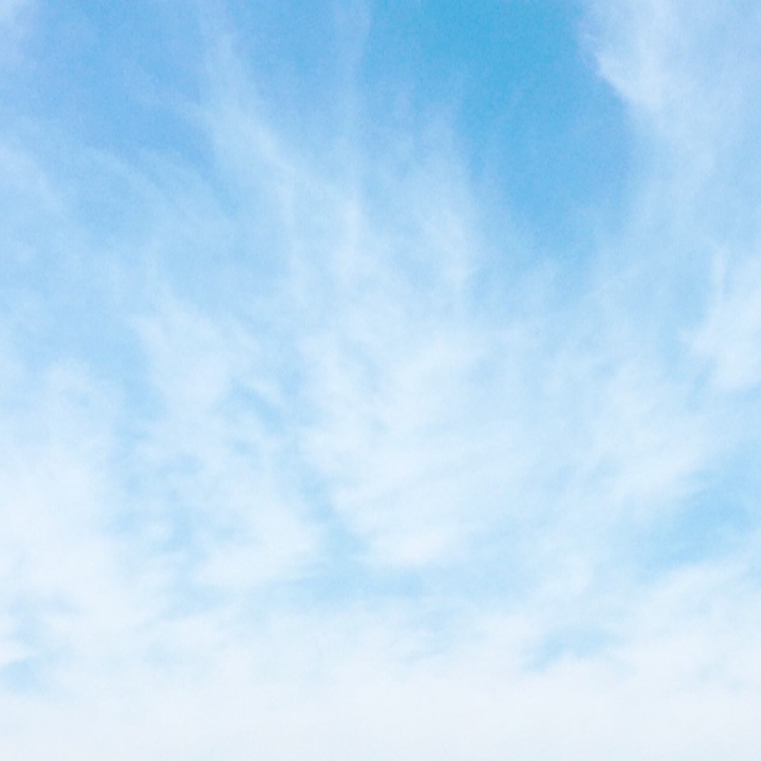 If blue was a food... what would it be? 
#consenses #metaphor #sallytaylor