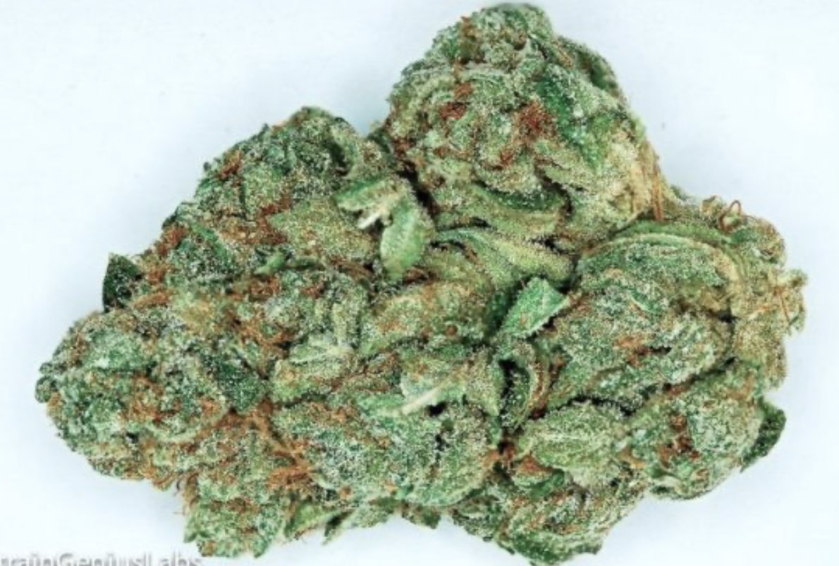 StrainGeniusLab's tweet image. Check out the SATURN  OG we tested for A1 Organic THC: 20.10% CBD: 0.11% CBN: 0.07% #MMJ #GetTested