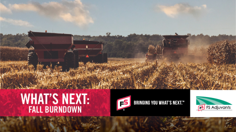 FSCooperatives's tweet photo. Make your weeds feel the burn! Limit fertilizer loss to weeds during winter thaws with a #fallburndown plan! Act now to keep your fields in tip-top shape for next year’s crop! https://t.co/3KVpKhDD26