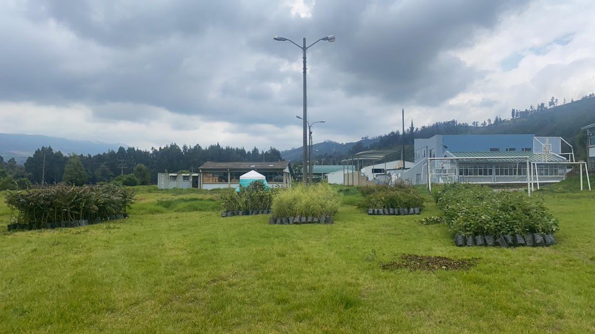 IndumilColombia's tweet photo. Dentro de nuestra estrategia de preservación ambiental y desarrollo sostenible, en nuestra Fábrica de Explosivos Antonio Ricaurte #FEXAR sembramos 1348 árboles de Cerezo, Aliso, Sangregado, Cedro y Sauco. ¡INDUMIL mucho más que armas municiones y explosivos!
#IndumilColombia https://t.co/pgTS9XCoyI