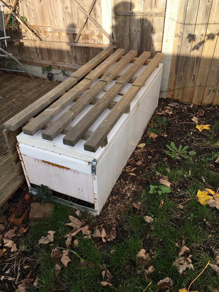 wrongtom tweet media