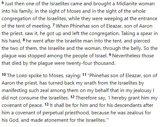 Phinehas son of Aaron continued the bloody appeasement by killing an Israelite man and his Midianite wife. Kind of strange that the Israelites right after this kill all the Midianites except the female virgins which they enslave. Guess that's more acceptable than a marriage.