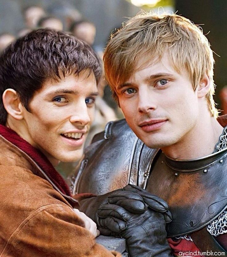 arthur pendragon as dogs: a very important thread