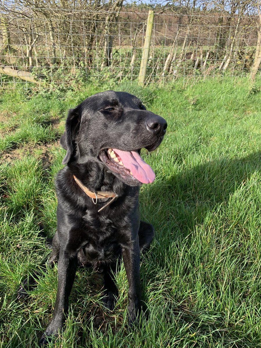 Pauline Hughes tweet media