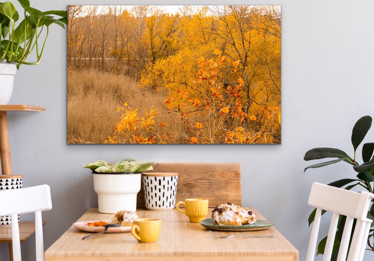 SoutherncharmP's tweet photo. Trust your journey 🧡🍁🍂✨ Reflect. Rejoice. Recharge. Repeat. Have a fabulous Tuesday everyone! 🤗 #canvasart #artwork #photographylife #landscapephotography #fallvibes🍁 #autumn #thegreatoutdoors https://t.co/wtOGoiaiJw
