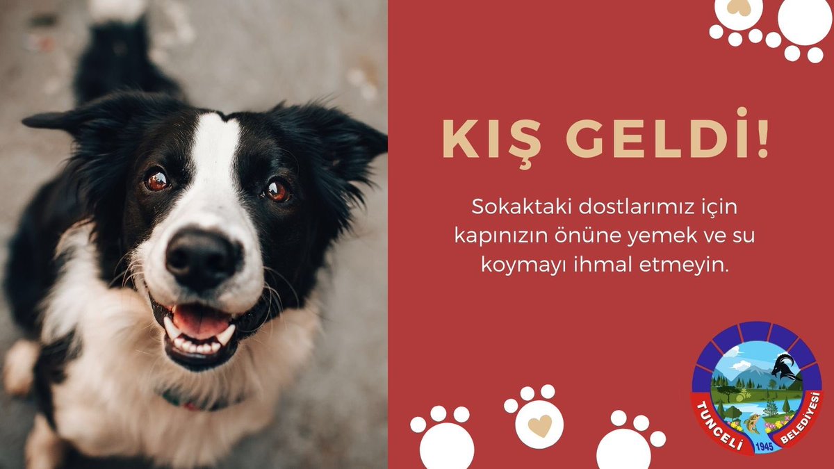 Pandemi sürecinde bizlerle birlikte sokaktaki dostlarımız da zor zamanlar geçiriyorlar.
Siz de dostlarımız için kapınızın önüne bir kap mama bir kap su koyar mısınız?