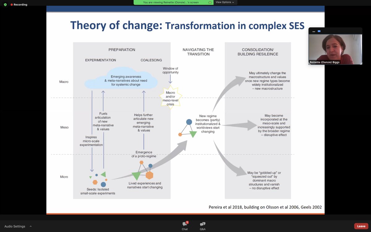Theory of change of  @SeedsGA, from  @laurap18 et al. paper- prepare for larger transformation using seeds present today, shows  @OonsieBiggs. Use 4 leverage points, both working towards compelling vision + nurturing/connecting seeds (carrots) + weakening existing power (sticks).