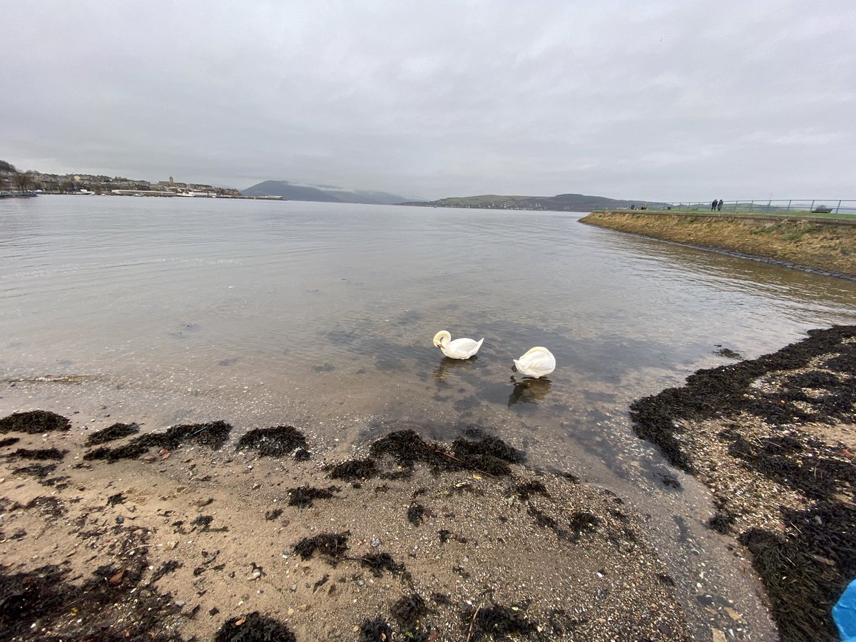 marionlaird00's tweet photo. Day 52 of my 100 Day Challenge with @InvincibleGrit
A lovely wee walk around the Battery Park
#Inverclyde #Scotland #invinciblegrit https://t.co/xDlnfKbZ6M