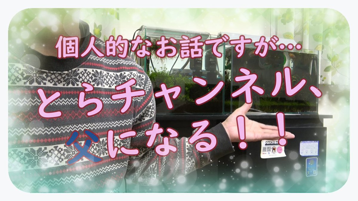とらチャンネル ツイッターの方ではネタバレしてると思いますが 編集が終わったのでyoutubeにもアップします 大事なお知らせ アクア関係ない 大事なお知らせvol2 とらチャンネルついに T Co Adr68wsw6d Youtubeより T Co Bfhfsmymic