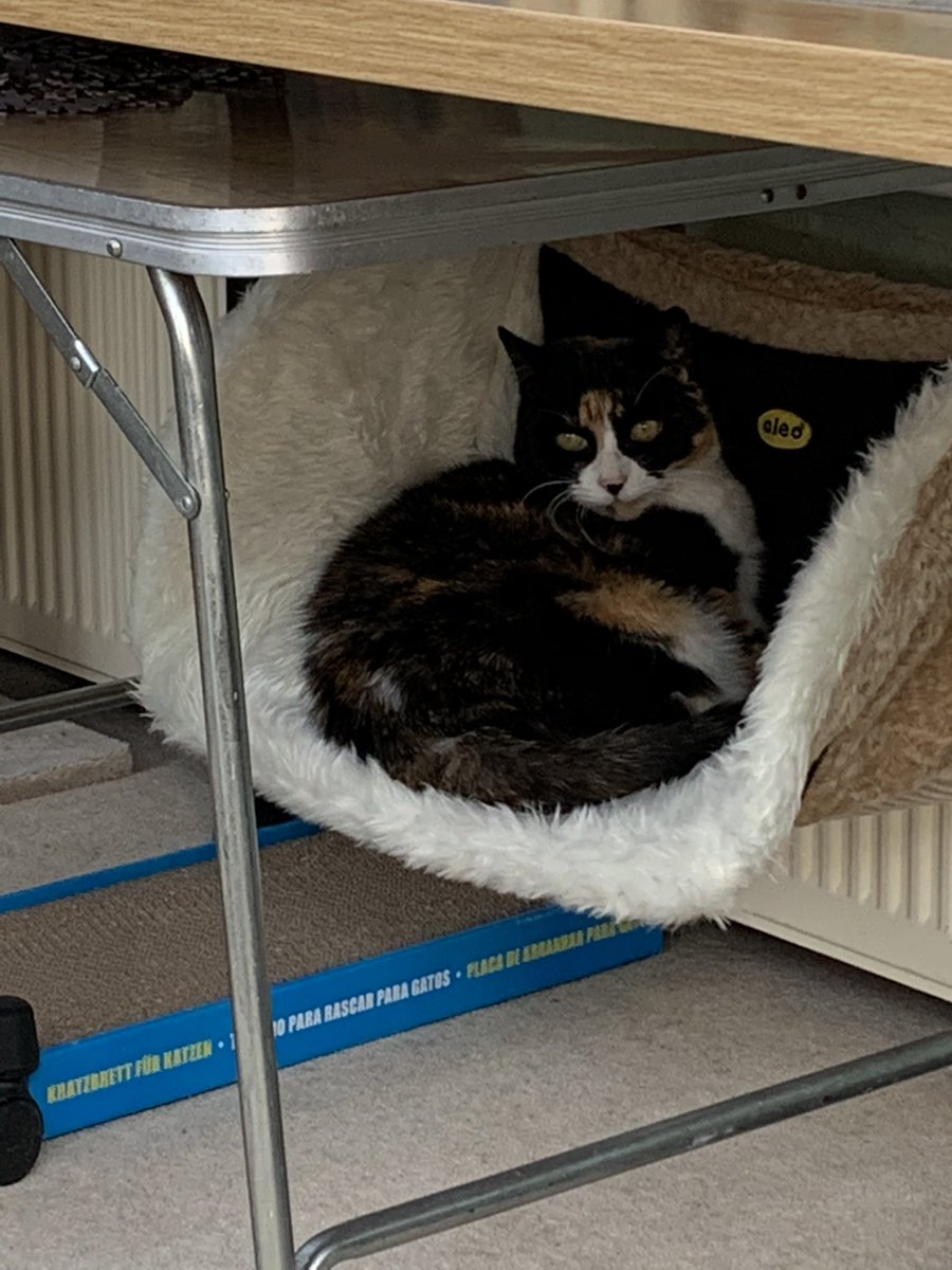 I have a new beddie