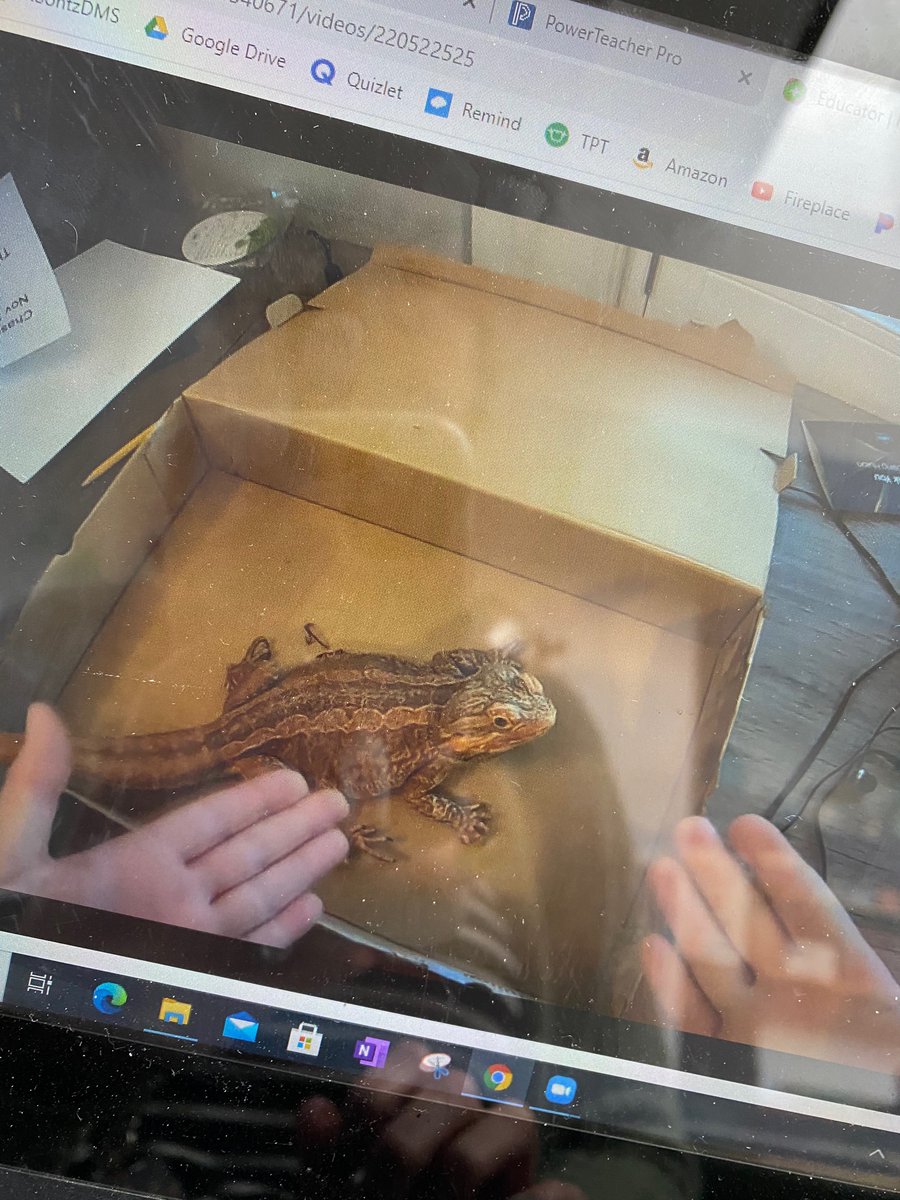 Mrs. Padgett tweet media