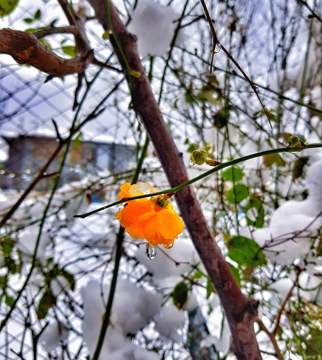 Geliyor gelmekte olan. Hoş geldin kış, hoş geldin aralık... ☃️  #WinterIsComing #HelloDecember #İstanbul
