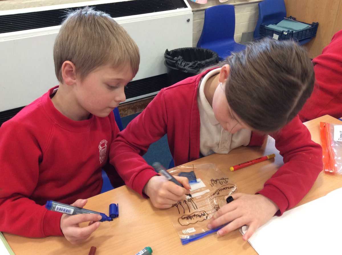 DringhousesPS's tweet photo. Class 6 (Y3) learnt all about the water cycle today. We made our own mini water cycle in a bag and are going to watch the process happen over the next few days. #DringScience https://t.co/tK0buXjxJn
