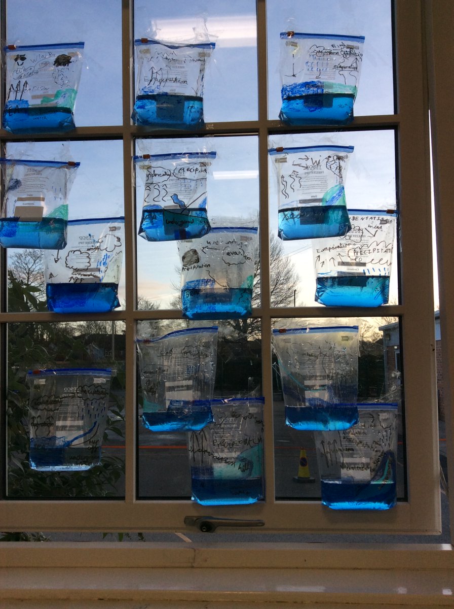DringhousesPS's tweet photo. Class 6 (Y3) learnt all about the water cycle today. We made our own mini water cycle in a bag and are going to watch the process happen over the next few days. #DringScience https://t.co/tK0buXjxJn