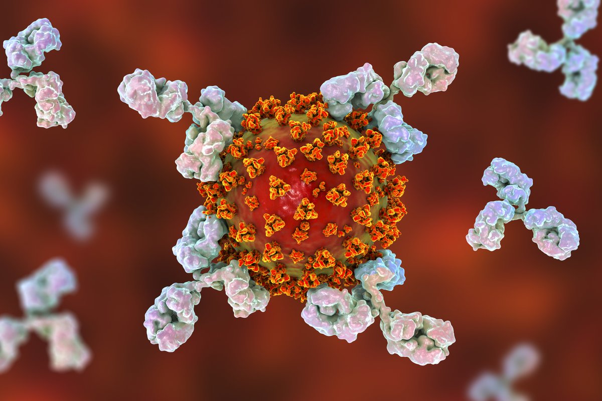 Enzymes may turn out to be the missing link in helping to break up clusters of clotting proteins involved in this dangerous thrombosis, which is linked to increased mortality in COVID-19. #StopCOVIDCold