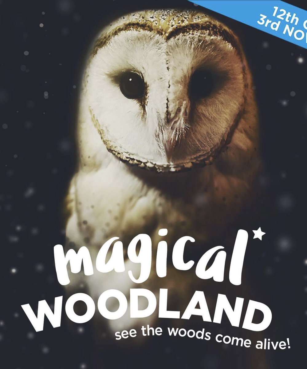 We’re devastated that <a href="/PayPal/">PayPal</a> <a href="/AskPayPal/">Ask PayPal</a> <a href="/PayPalUK/">PayPal UK</a> are holding funds from August for sister company <a href="/magicwoodland/">Magical Woodland</a> this could send a small business under, huge amount to us, drop in ocean to them, no one fro #PayPal will speak to us <a href="/GranadaReports/">ITV Granada Reports</a> <a href="/itvnews/">ITV News</a> <a href="/BBCNWT/">BBC North West</a> <a href="/MartinSLewis/">Martin Lewis</a>