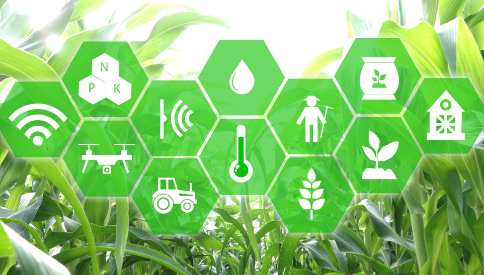 ModpowAgritech's tweet photo. Descobreix com el projecte IoE-Crops millora la productivitat, eficiència i resiliència de les explotacions de conreus extensius, mitjançant el suport a la gestió agronòmica a través de tecnologies #IoT 🌽

Registra't: https://t.co/jVCgDso7mN https://t.co/kqrKPoIE10