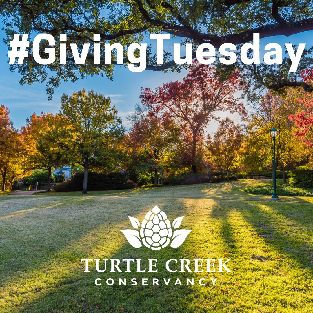 TurtleCreekPrk's tweet photo. Today is #GivingTuesday, when people around the world stand up for causes they believe in. If you believe in calm, beauty, nature, and serenity in an ever-changing world, give to the care of Turtle Creek Park. Donate today at  https://t.co/3DEs0weAP1! https://t.co/jSuadj2Mdz