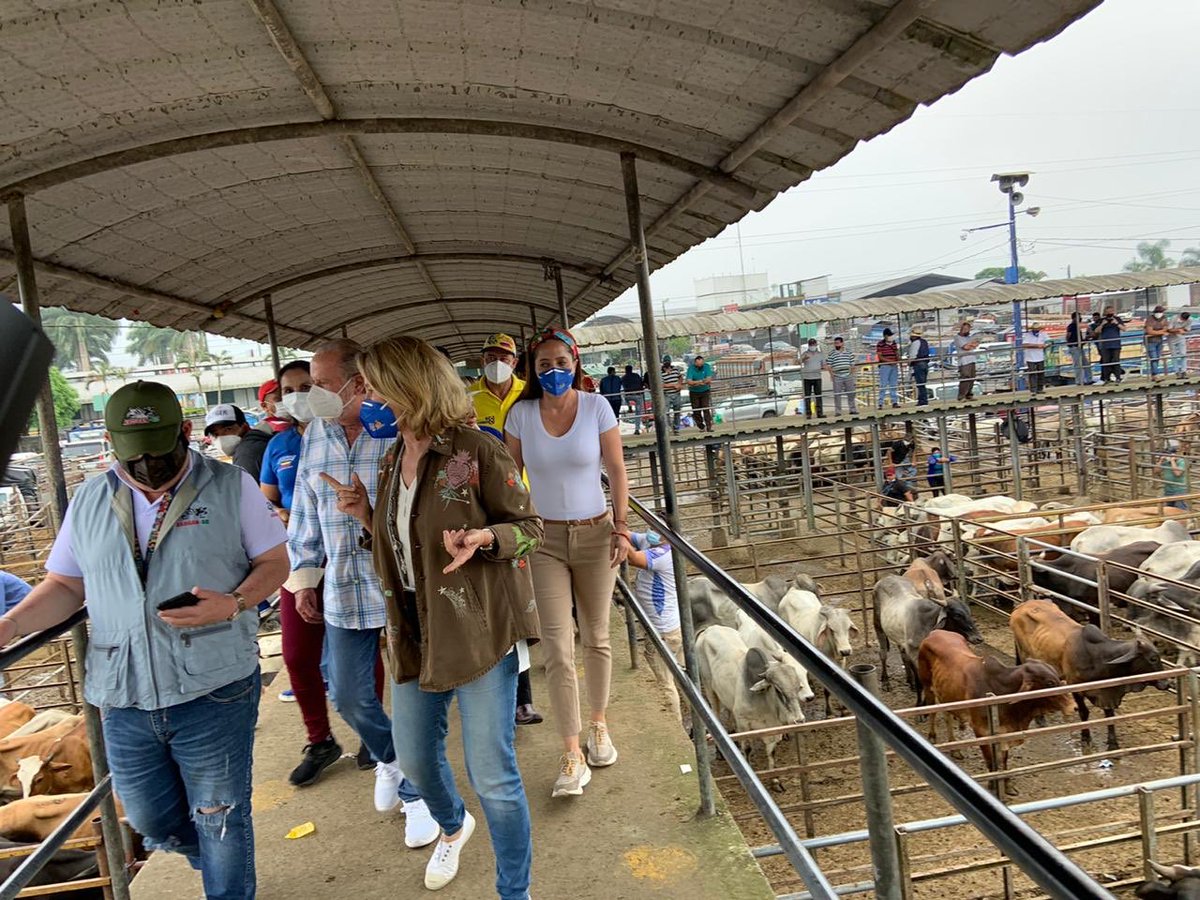 SofiaMerinoRiv's tweet photo. La ganadería genera muchas fuentes de empleo en #SantoDomingoDeLosTsáchilas por eso hoy visitamos #asogan junto a @isidroromero_c dinamizar la economía en #Ecuador es uno de nuestros principales objetivos y sabemos cómo hacerlo! #LaGenteAlPoder https://t.co/soWooSkLJM
