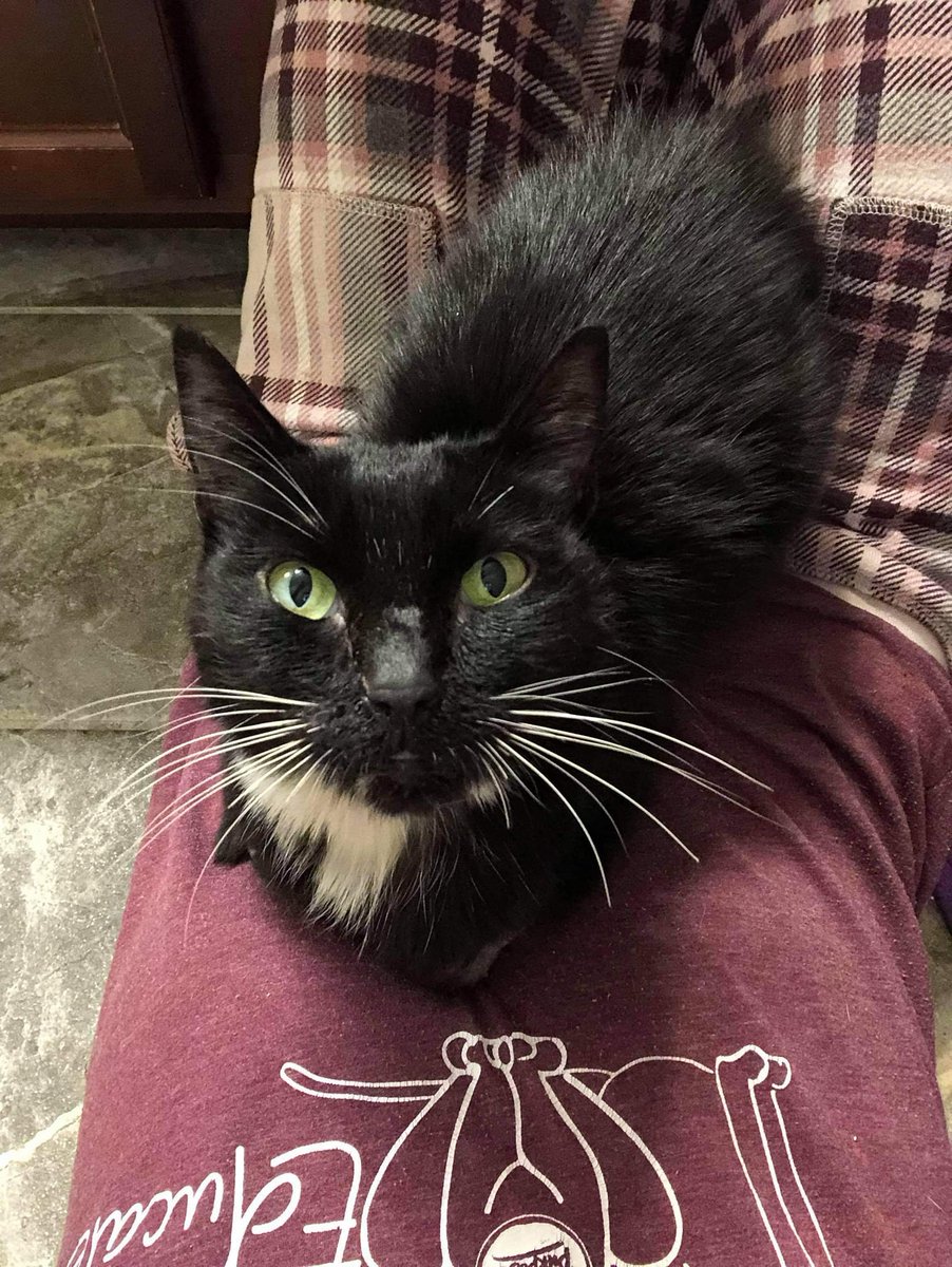 friendsofpacc's tweet photo. ๐ถ It's #GivingTuesday! Will you help us save Smoothie by making a gift at https://t.co/DuqdDnqOCU?
๐ Your gifts will help Smoothie and other critically injured pets get the urgent care they need and find loving homes. Thank you for your support!
#PACC #SaveMorePets https://t.co/o97BeB92uy