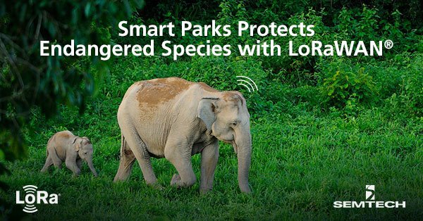 SemtechCorp's tweet photo. Tracking endangered species the smarter way with #LoRaWAN networks. Read more: https://t.co/2Iivk61N00 #smartconservation #IoT4good #LoRa https://t.co/oViL3Du1TX