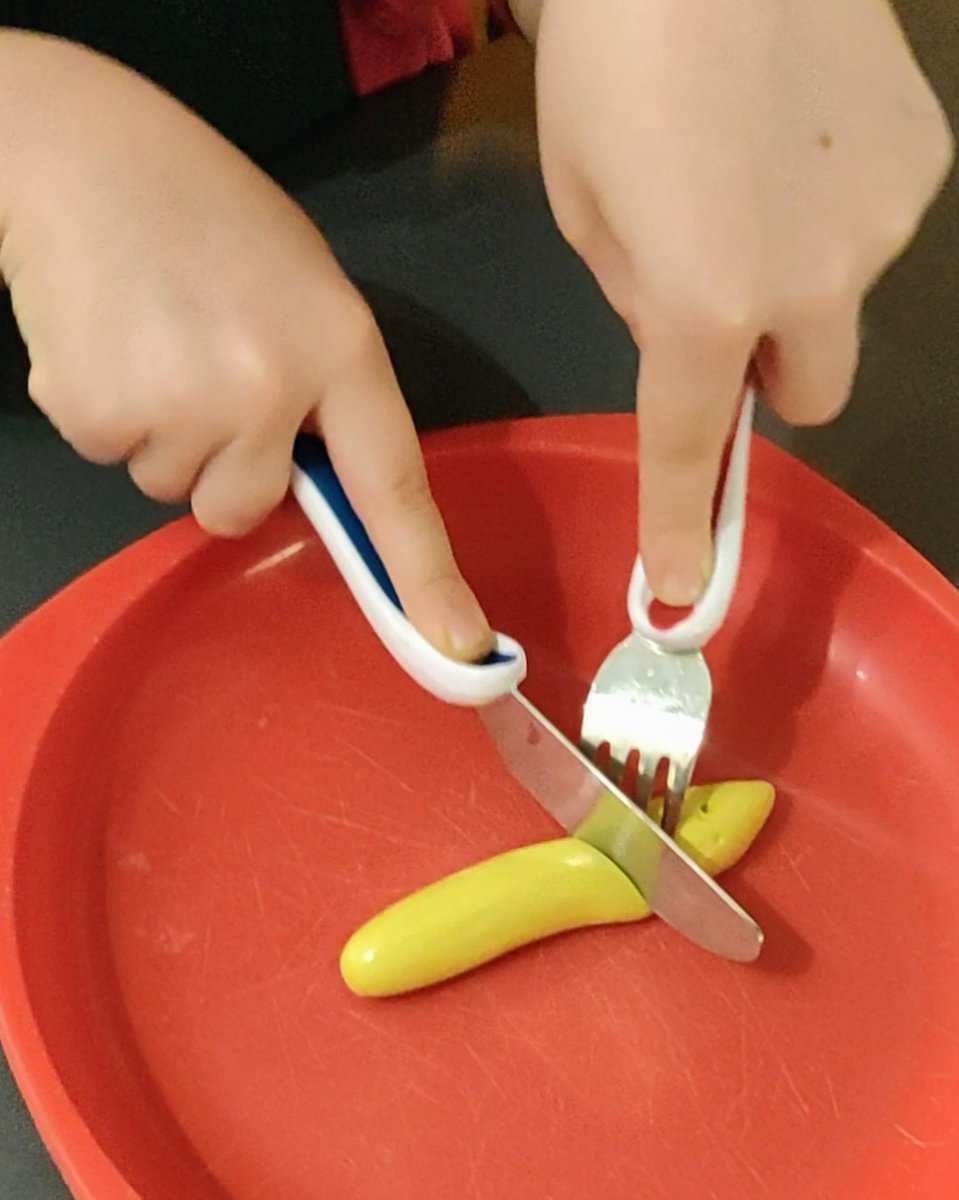 BCHC Paediatric Occupational Therapy Team tweet media