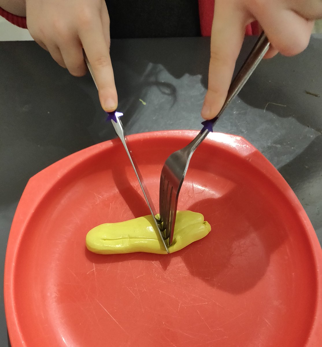 BCHC Paediatric Occupational Therapy Team tweet media