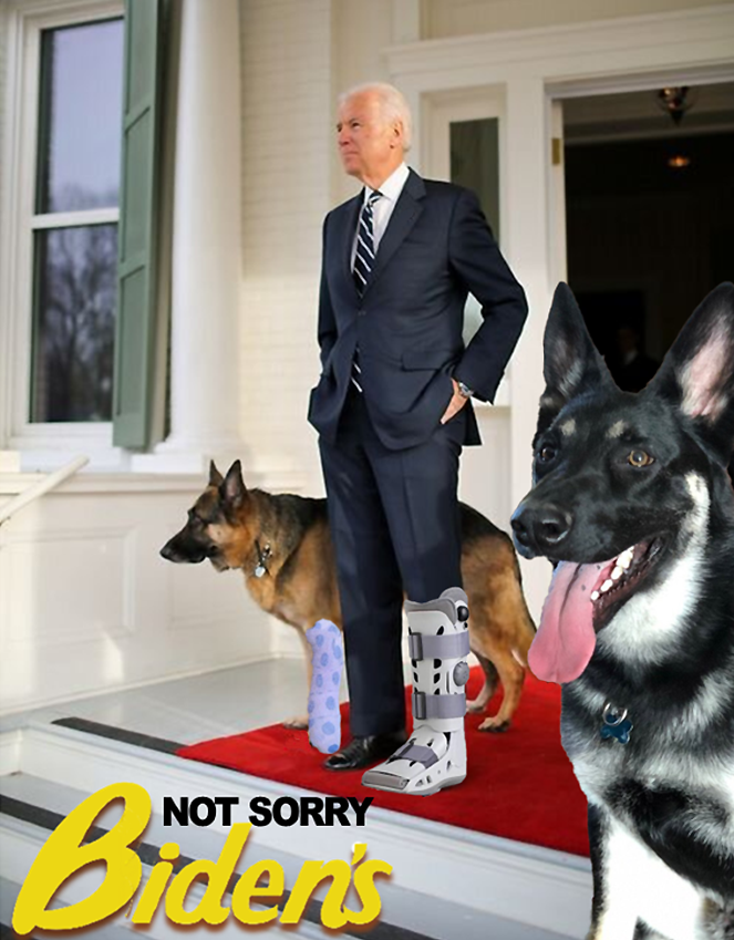 PoliticalClownP's tweet image. #firstdogs 

#Bidenhobbling

Saboteur and austere bad boi...
