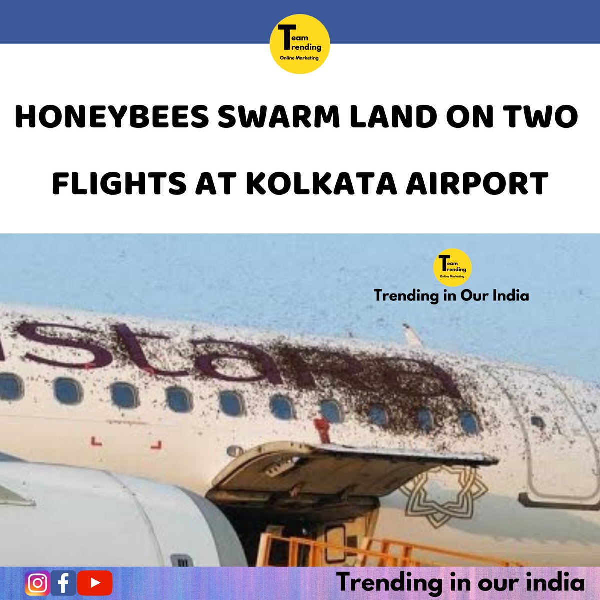 Honeybees swarm land on two flights at Kolkata airport

Read more - instagram.com/p/CIQuPKUnJeV/…
•
•
•
•
•
#kolkata #kolkatabuzz #india #indian #indianews #newsindia #trendinginourindia