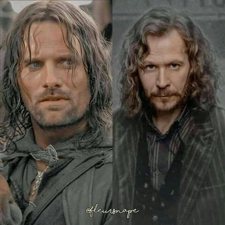 Lord of The Rings VS Harry Potter, the similarity.Thread