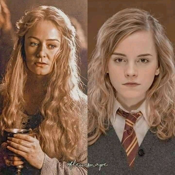 Lord of The Rings VS Harry Potter, the similarity.Thread