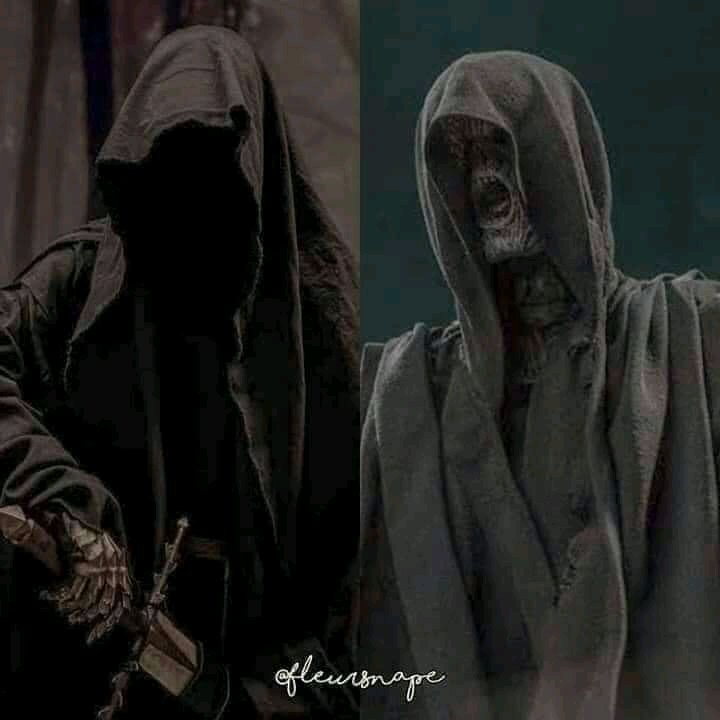 Lord of The Rings VS Harry Potter, the similarity.Thread