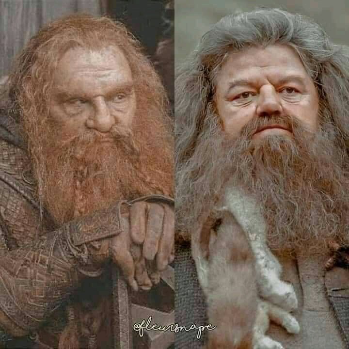 Lord of The Rings VS Harry Potter, the similarity.Thread