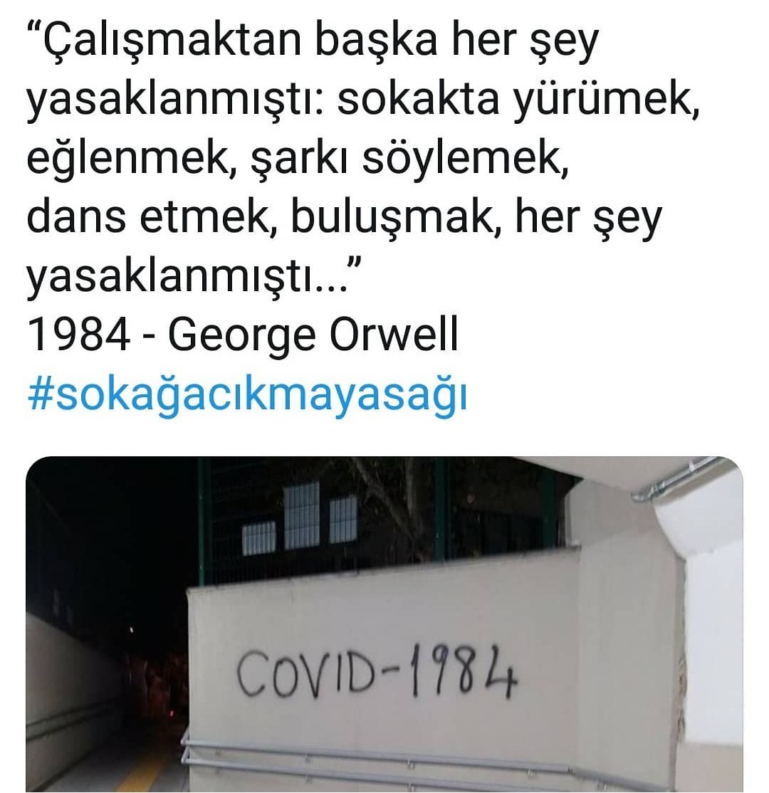 _NurCaliskan's tweet photo. https://t.co/8CQ2lbIS6G