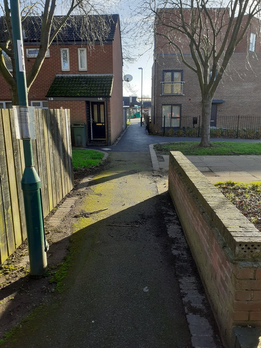 MeadowsPublicRealm tweet media