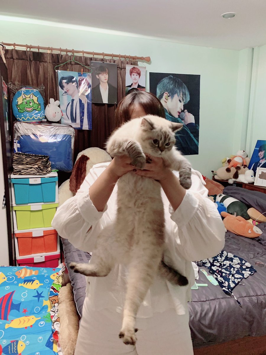 พอลย่า tweet media