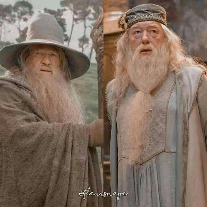 Lord of The Rings VS Harry Potter, the similarity.Thread