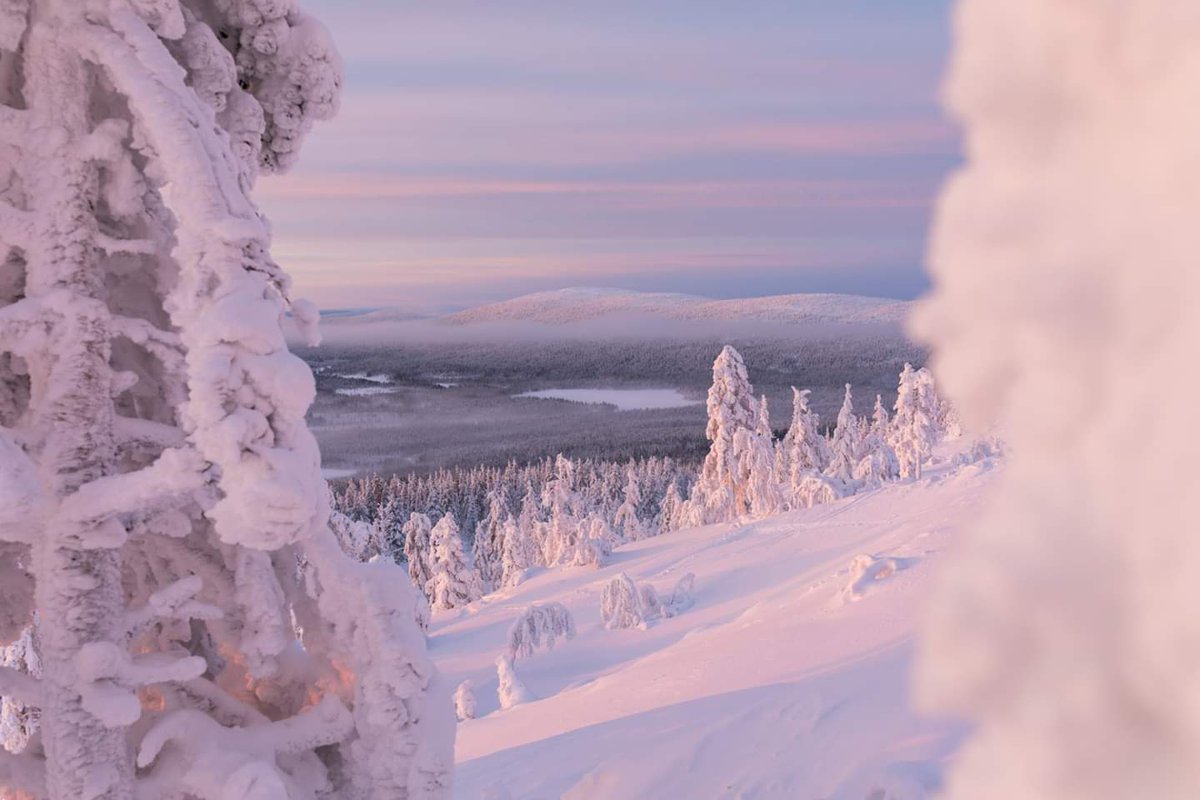 VisitLevi's tweet photo. Tulkaa Lappiin nyt ulkoilemaan. Juhlitaan sitten myöhemmin kun korona on selätetty. #VisitLevi #LeviLapland #matkailu #Lappi #kotimaanmatkailu https://t.co/Q2jz6tJ7i4 https://t.co/a48NKJ1rwd