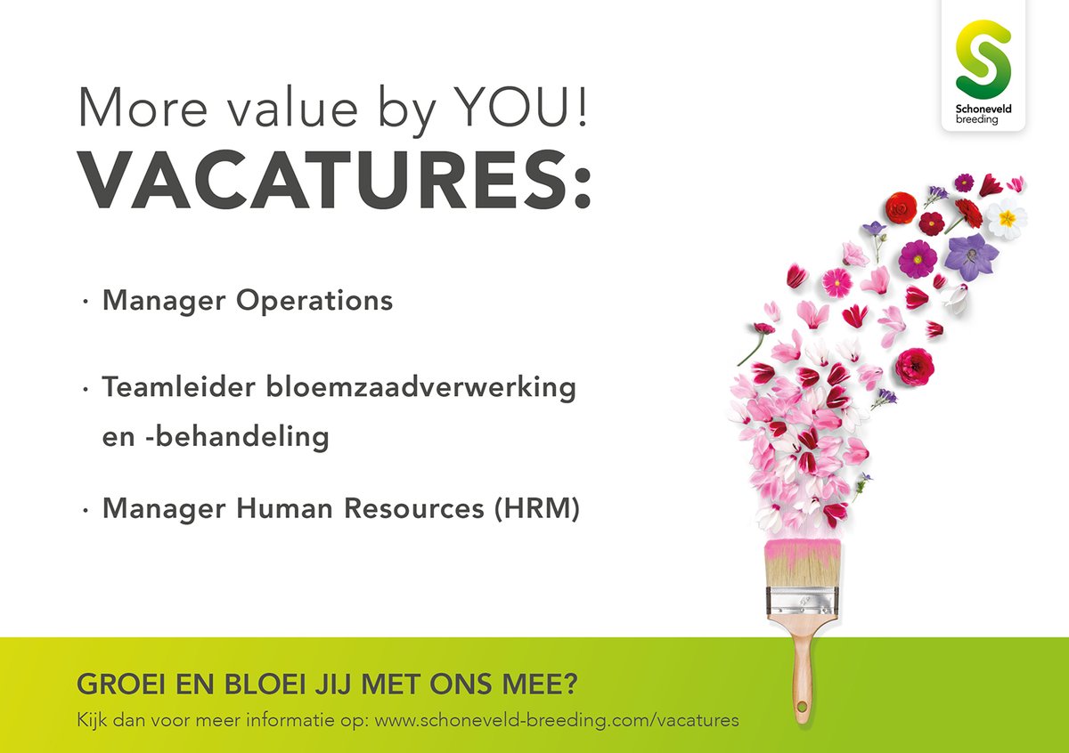 Schoneveld Breeding tweet media