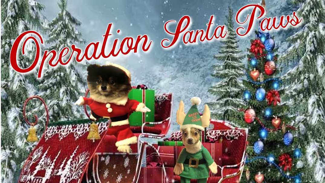 parmetech's tweet photo. During this holiday season, let’s show a little extra love to our furry friends whom we love with all our hearts. This year for #OperationSantaPaws we are supporting @MatchdogR - please donate what you can and share this post to spread the word! 🎅🐾 https://t.co/ltFdzgq43m https://t.co/0YgpmdhvKP