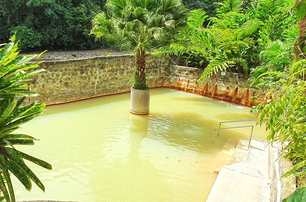 These waters are certified by experts in Medical Hydrology and hydrotherapy as the best Thermal Mineral waters in Costa Rica. Main components: manganese, copper, magnesium, zinc, selenium, calcium, phosphorus, iodine, bromine, fluorine. paradise-adventures-costa-rica.com/junglecabins/