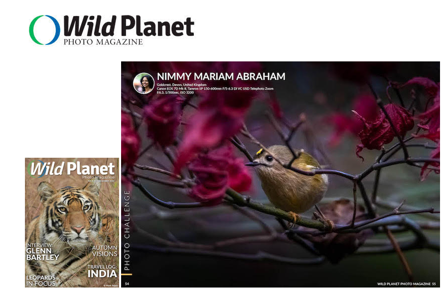 Featured in Wild Planet Photo Magazine @WPPmagazine  December 2020 issue!